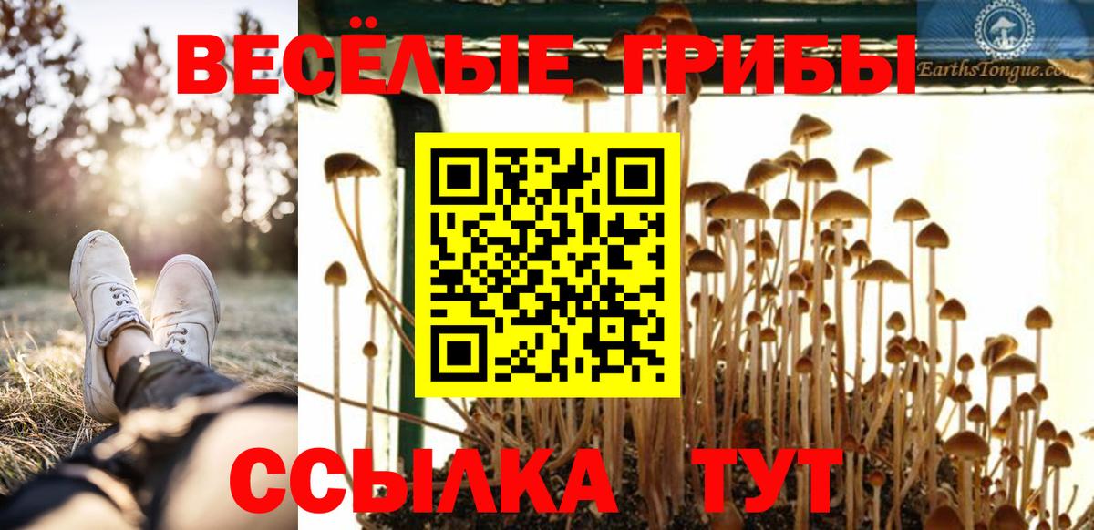 Галлюциногенные грибы GOLDEN TEACHER  Вход с VPN  Кудрово 